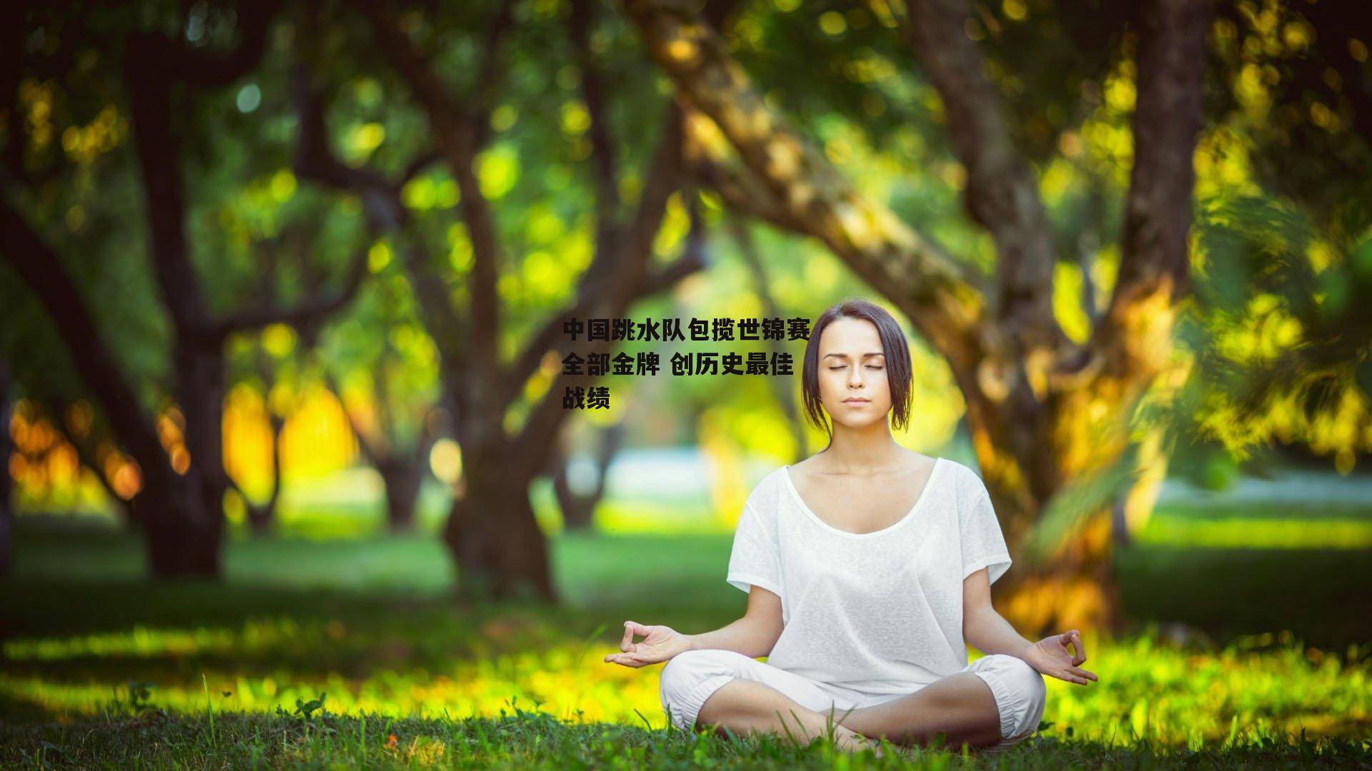 中国跳水队包揽世锦赛全部金牌 创历史最佳战绩